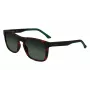 Lacoste L956S-230 Meeste Päikeseprillid Havana Pruun Ristkülikukujuline Atsetaat 55mm