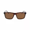 Lacoste meeste päikeseprillid L6025S-219 Havana roheline 56mm
