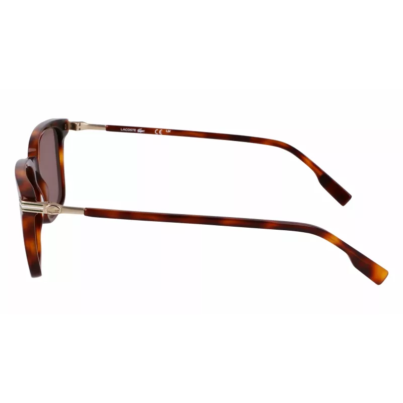 Lacoste meeste päikeseprillid L6035S5318214 - Havana atsetaatraam, pruunid läätsed, 53 mm