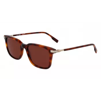 Lacoste meeste päikeseprillid L6035S5318214 - Havana atsetaatraam, pruunid läätsed, 53 mm