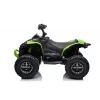 LEAN CARS Electric Ride On Quad CAN-AM Renegate Green