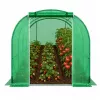 LEAN Garden foolium tunnel kasvuhoone PRO raam 25MM 10x4x2M 40M²