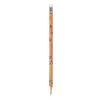 LEAN Set of 30 HB Graphite Pencils with Capybara Eraser in a Tube