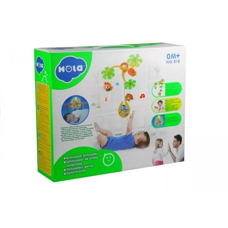 LEAN TOYS Karussell-muusikakarp beebile koos kõristitega