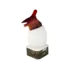 LEAN TOYS Dinosaur Pterosaur LED Micro USB Egg Lamp - 16 RGB Colors, Touch & Remote Control, Rechargeable