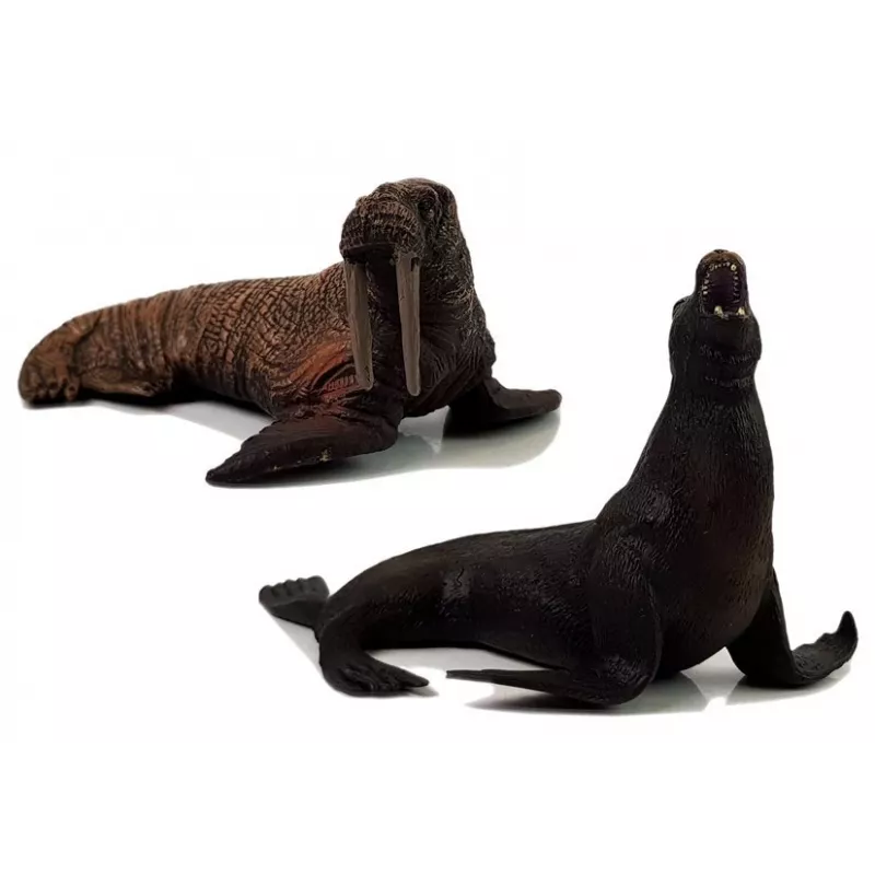 LEAN TOYS Hariduslikud Figuurid Mereelukad 8 Tükki Haid Hüljes Delfiin Morsk Kilpkonn