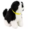LEAN TOYS Interaktiivne pehme koer pehme karvaga, Border Collie tõug