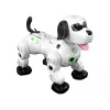 LEAN TOYS Interaktiivne Kaugjuhitav Robotkoer