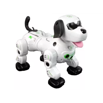 LEAN TOYS Interaktiivne Kaugjuhitav Robotkoer