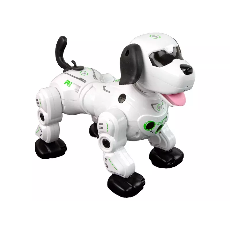 LEAN TOYS Interaktiivne Kaugjuhitav Robotkoer