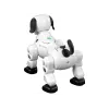 LEAN TOYS Interaktiivne Kaugjuhitav Robotkoer