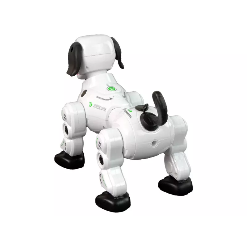 LEAN TOYS Interaktiivne Kaugjuhitav Robotkoer