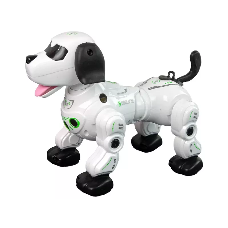 LEAN TOYS Interaktiivne Kaugjuhitav Robotkoer