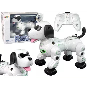 LEAN TOYS Interaktiivne Kaugjuhitav Robotkoer