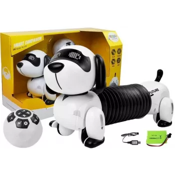 LEAN TOYS Interaktiivne Robottkoer Kaugjuhtimisega Muusika Heli Kaugjuhtimispall