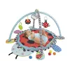 LEAN TOYS Ladybug Educational Mat Playpen Balls For Baby