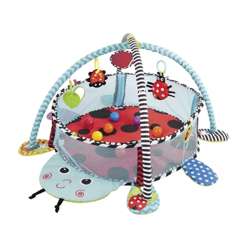 LEAN TOYS Ladybug Educational Mat Playpen Balls For Baby