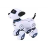 LEAN TOYS kaugjuhitav interaktiivne robotkoer – tantsiv, laulev, programmeeritavate käskudega, sinine | DistriNode SA
