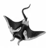LEAN TOYS Stingray kummist kujuke, veniv, realistlik ookeanikala 13cm