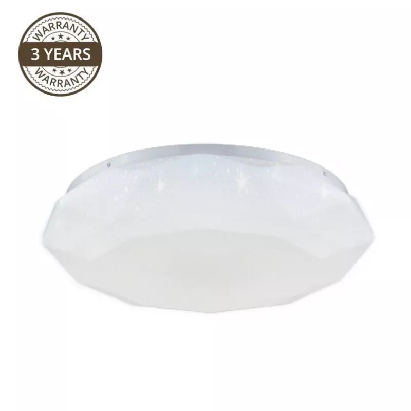 LED Ceiling Lamp B1242-1L-R 32W