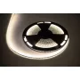 LED-nöör 25m Rebel 300x5050 SMD neutraalvalge veekindel 12V