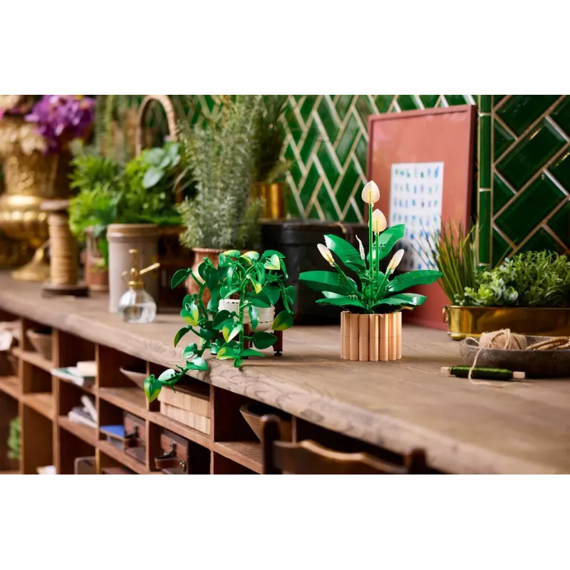 LEGO BOTANICALS 11512 rippuv draakonluuderohi ehituskomplekt