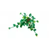LEGO BOTANICALS 11512 rippuv draakonluuderohi ehituskomplekt