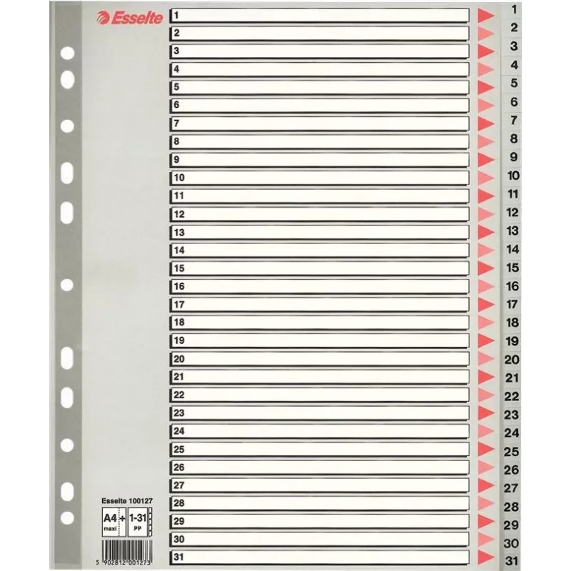 LEITZ A4 ekstra laiad tühjad plastikust vahelehed, 20-osaline, universaalne augustamine, poolläbipaistev valge 1278-00-00