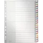 LEITZ A4 ekstra laiad tühjad plastikust vahelehed, 20-osaline, universaalne augustamine, poolläbipaistev valge 1278-00-00