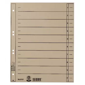 LEITZ A4 ekstra laiad vahelehed, manilla kartong 230 g/m², hall läbivärvitud, tühjad kaanetavad, 100 lehte 1658-00-85