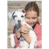 Leitz A4 kiletaskud läikivad kristallselged 125 mikronit, 25 tk 7482-00-00