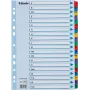 LEITZ A4 Mylar A-Z vahelehed, 26 keelega, mitmevärvilised, universaalne augustamine, 160 gsm, 1 komplekt (100167)