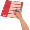 LEITZ papist vahelehed, tühjad kleepsud, A4, 5-osaline, mitmevärviline, 160 gsm, punase kirjutatava kaanega 250 gsm (4386-60-00)