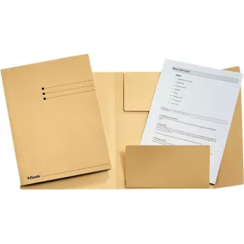 LEITZ Esselte juriidiline kaust, DIN A4, manilla kartong, 275 g/m², šamppähkel, 3 klapiga alumisel kaanel, joonistatud trükis esikaanel, 50 tk (1033304)