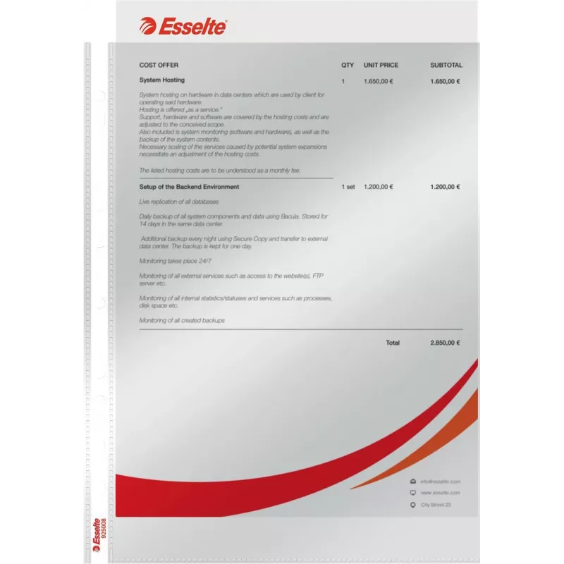 LEITZ Esselte Standard dokumenditasku A4, polüpropüleen, kristallselge, 0,06 mm, ülalt avatav, dokumendikindel, mitme augustusega, tugevdatud serv, 100 tk pakk (925008)