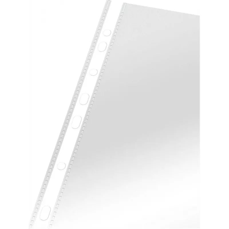 LEITZ Esselte Standard dokumenditasku A4, polüpropüleen, kristallselge, 0,06 mm, ülalt avatav, dokumendikindel, mitme augustusega, tugevdatud serv, 100 tk pakk (925008)