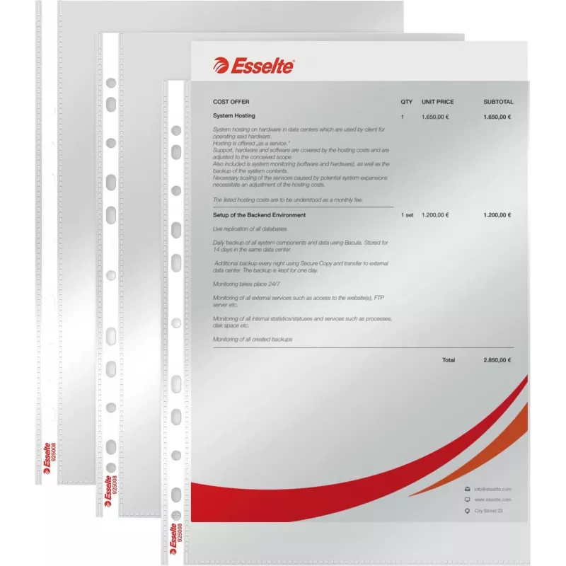 LEITZ Esselte Standard dokumenditasku A4, polüpropüleen, kristallselge, 0,06 mm, ülalt avatav, dokumendikindel, mitme augustusega, tugevdatud serv, 100 tk pakk (925008)