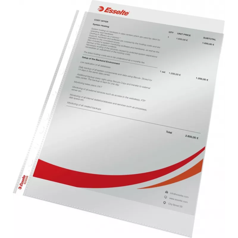 LEITZ Esselte Standard dokumenditasku A4, polüpropüleen, kristallselge, 0,06 mm, ülalt avatav, dokumendikindel, mitme augustusega, tugevdatud serv, 100 tk pakk (925008)