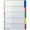 LEITZ Mylar tugevdatud pappkaanedega vahelehed, tühjad, A4, 5-osalised, hallid kaaned, 160 gsm, kirjutatava kaanega 4320-00-00