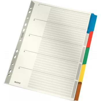LEITZ Mylar tugevdatud pappkaanedega vahelehed, tühjad, A4, 5-osalised, hallid kaaned, 160 gsm, kirjutatava kaanega 4320-00-00