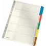 LEITZ Mylar tugevdatud pappkaanedega vahelehed, tühjad, A4, 5-osalised, hallid kaaned, 160 gsm, kirjutatava kaanega 4320-00-00