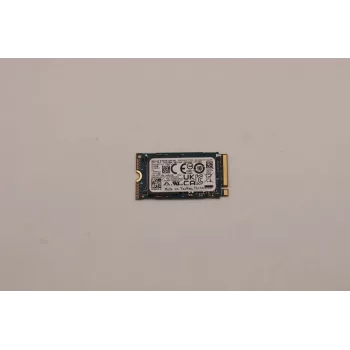 Lenovo 256GB M.2 2242 PCIe Gen3 x4 NVMe sisemine SSD (5SS0V26422)