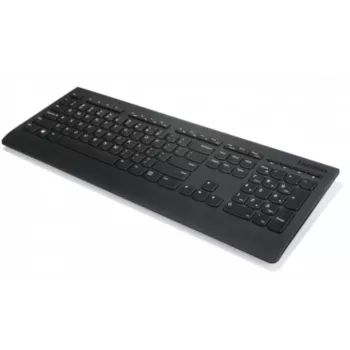 Lenovo Professional Wireless Keyboard 2.4 GHz QWERTZ Must