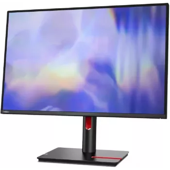 Lenovo T24D-30 24 inch IPS WUXGA Monitor - Must