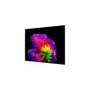LG OLED83G61LW 83-tolline OLED evo 4K Smart TV (webOS 23, α9 AI Processor Gen6, Dolby Vision/Atmos, 120Hz, G6 Gallery Design)