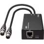 LINDY 2-kanaliline XLR-audio Dante-kooder, PoE, AES67, 24-bit/96kHz 70618