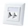 LogiLink NK4020 Keystone seinapaneel, tasapinnaline paigaldus, 2 moodulit, signaalvalge