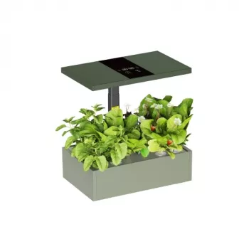 LUMI LEGEND CORPORATION HS085001 Smart Indoor Hydroponic Growing System, 12-Pod, Full Spectrum LED, Wi-Fi App Control, White