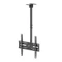 MACLEAN MC-175 Lae kinnitus 37–75 tolli teleritele, 50 kg, VESA 400x400, must