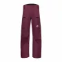 Mammut Stoney HS Meeste Veekindlad Püksid Vin